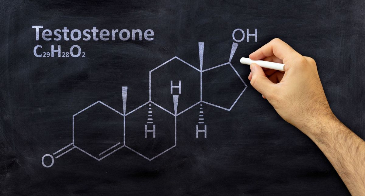 Everything You Need to Know About Testosterone: The King of Hormones for Muscle Growth